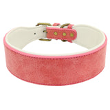 Wide Leather Dog Collar.