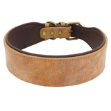 Wide Leather Dog Collar.