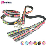 Zichen Reflective Dog Leash.
