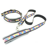 Zichen Reflective Dog Leash.