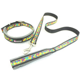 Zichen Reflective Dog Leash.