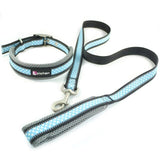 Zichen Reflective Dog Leash.