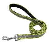 Nylon Reflective Dog Leash.
