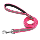 Nylon Reflective Dog Leash.