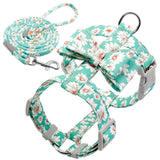 Floral Printed Nylon Dog Harness Set.