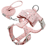 Floral Printed Nylon Dog Harness Set.