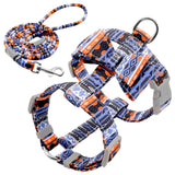Floral Printed Nylon Dog Harness Set.
