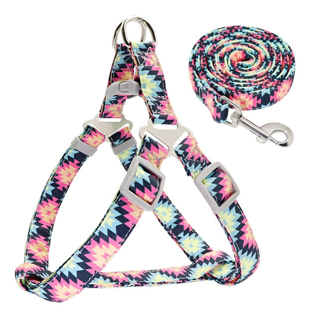 Adjustable Nylon Dog Harness and leash set