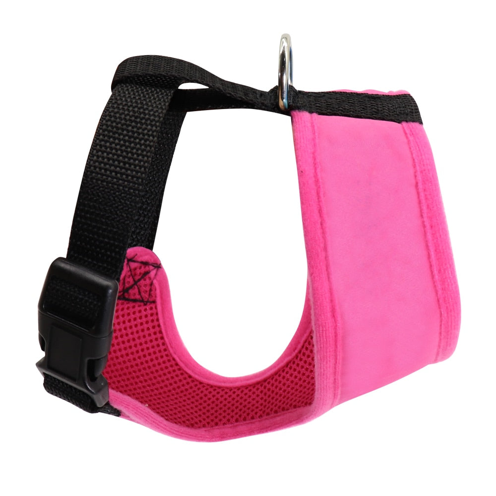 Personalized Nylon Pet Harness.