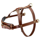 leather dog harness