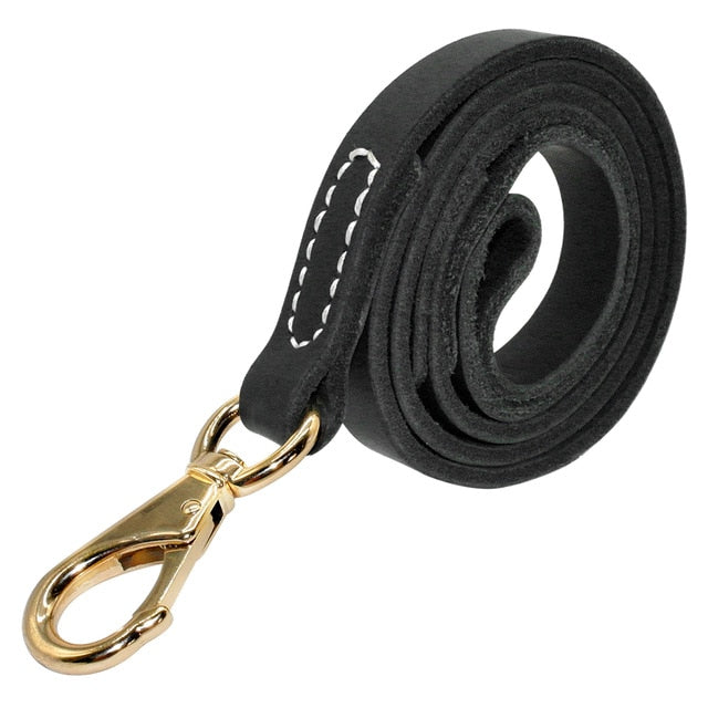 Handmade Leather Dog Leash.