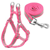 Nylon Reflective Dog Harness.