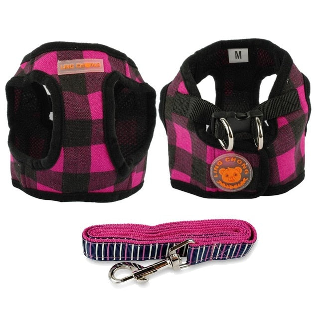 Dog Walking Striped Harness Set.