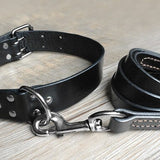 Real Leather Dog Collar Set.