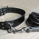 genuine leather dog leash and collar set