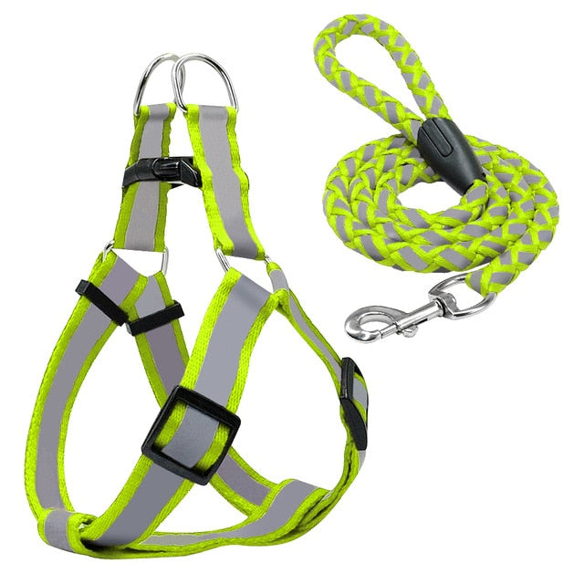 Halter Dog Harness Vest Set.