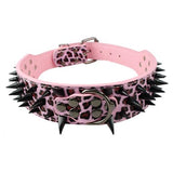 Sharp Spiked Dog Collar.