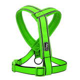 Nylon Reflective Soft Mesh Padded Harness Success.