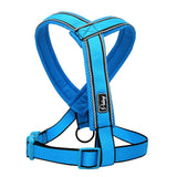Nylon Reflective Soft Mesh Padded Harness Success.