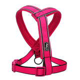 Nylon Reflective Soft Mesh Padded Harness Success.