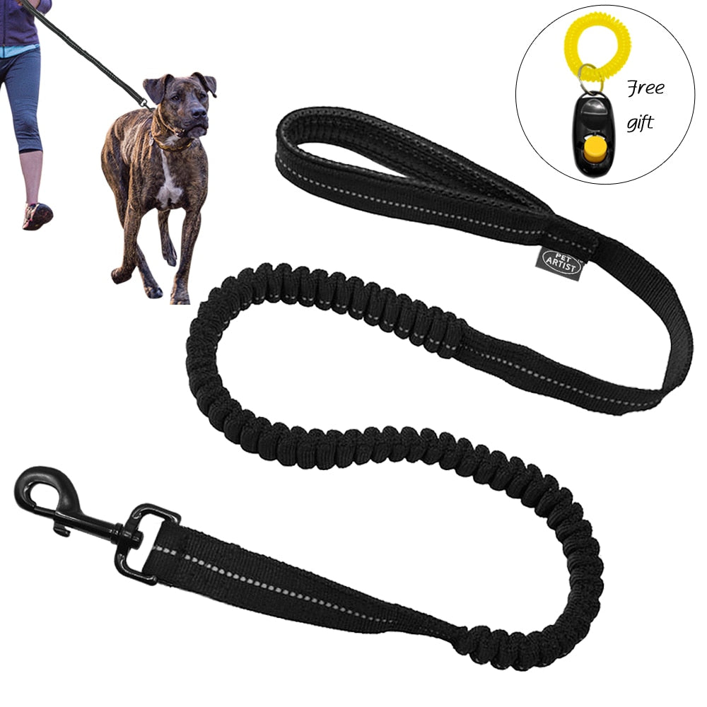 Elastic Bungee Dog Leash