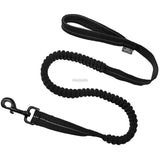 Elastic Bungee Dog Leash.