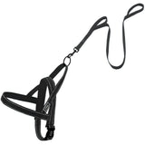 Reflective Harness Leash Set.