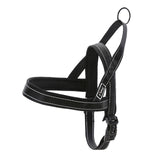 Reflective Harness Leash Set.