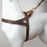Wide Genuine Leather Dog Harness.