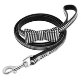 Plaid Leather Dog Leash.