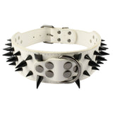 Spiked Leather Dog Harness Set.