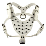 Spiked Leather Dog Harness Set.