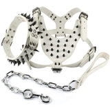 Spiked Leather Dog Harness Set.