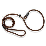 Training Dog Leash.