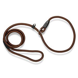 Nylon Dog Leash Training