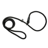 Training Dog Leash.