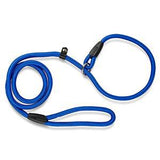 Training Dog Leash.