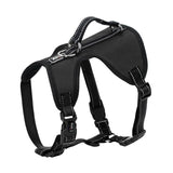 Big Dog Nylon Adjustable Harness.