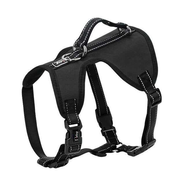 Big Dog Nylon Adjustable Harness.