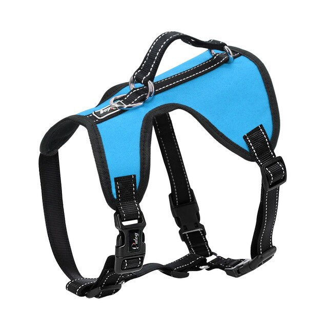 adjustable harness dog