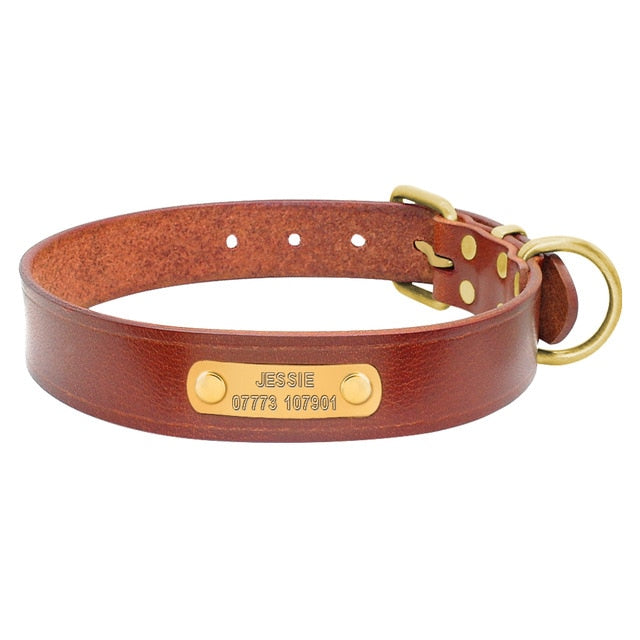 Personalized Dog ID Collar Leather.