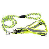 Step-in Adjustable Reflective Harness.