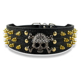 Gold Skull Spiked Leather Collar.