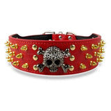 Gold Skull Spiked Leather Collar.
