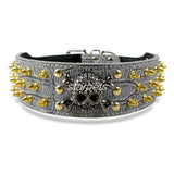 Gold Skull Spiked Leather Collar.