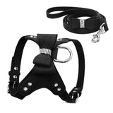 black leather dog harness