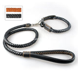 Dog Collar & Leash Set.