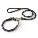 Dog Collar & Leash Set.