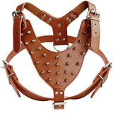Leather Adjustable Dog Spike Harness.