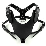 Leather Adjustable Dog Spike Harness.